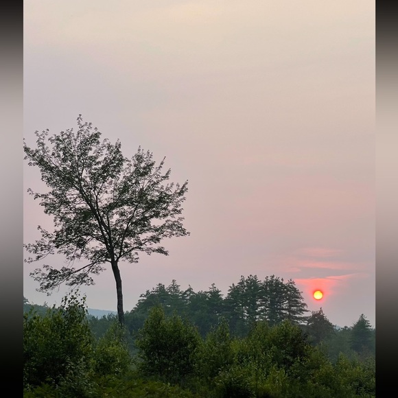 Know who your buying from - Picture 5 of 8